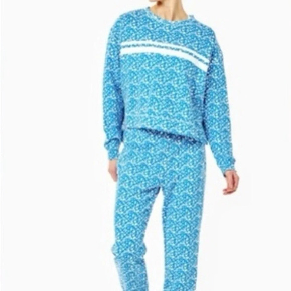 NWT ADDISON BAY Lombard Crewneck In Courtside Blue Floral Top XS - Picture 2 of 3